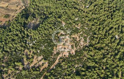MENTEŞE KUYUCAK'DA SATILIK 5.932 M2 TARLA