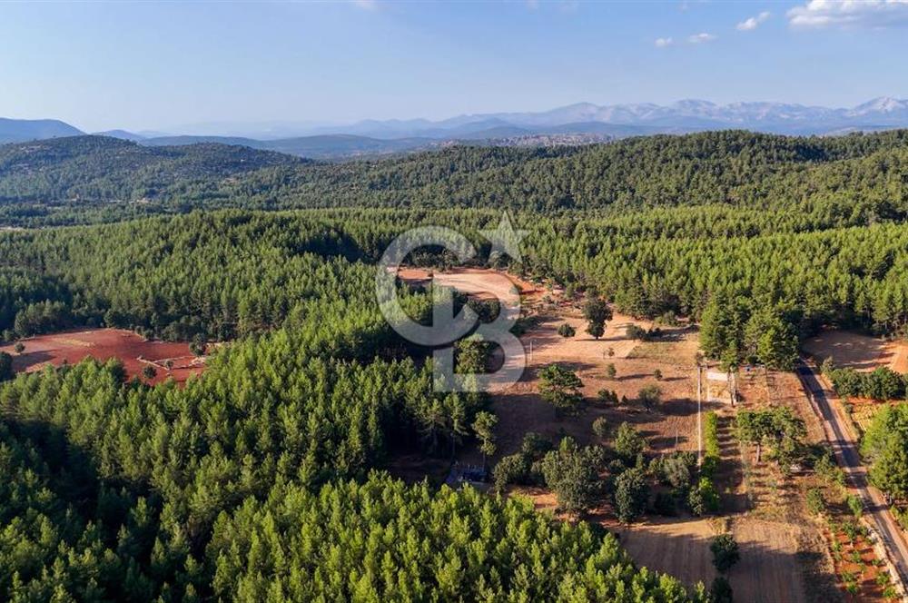 CB MARİNA'DAN DOĞA İLE İÇ İÇE 1.214M2 TARLA VE 2+1 TİNY HOUSE