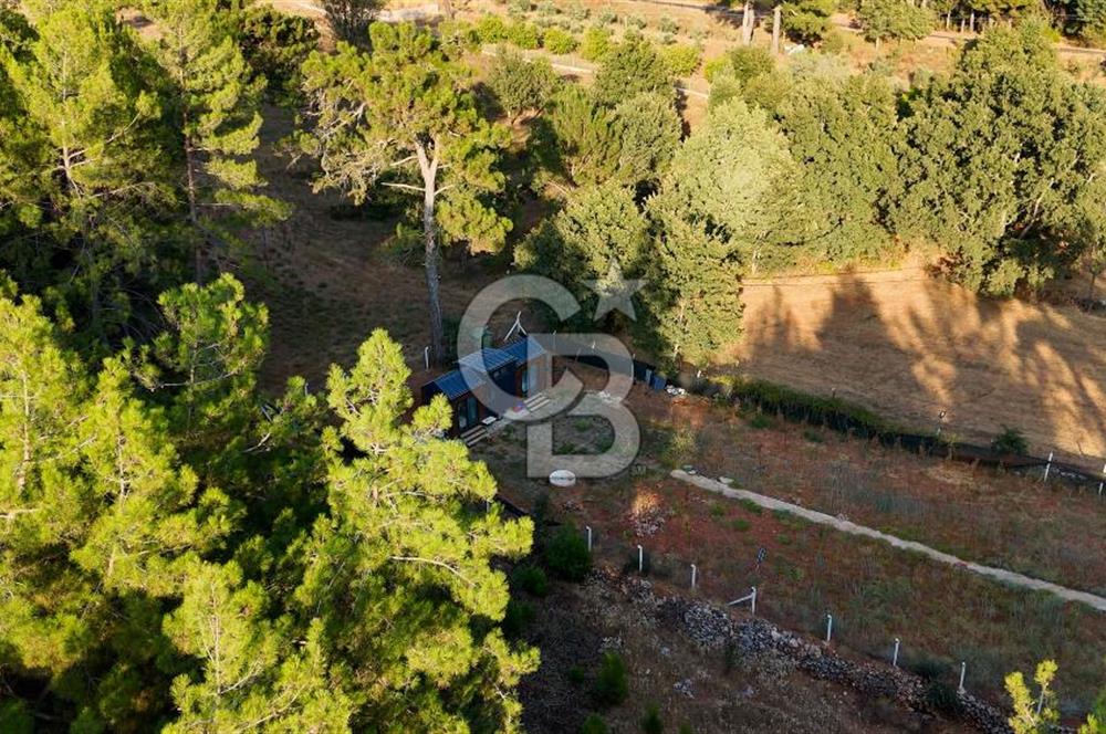 CB MARİNA'DAN DOĞA İLE İÇ İÇE 1.214M2 TARLA VE 2+1 TİNY HOUSE