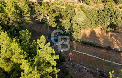 CB MARİNA'DAN DOĞA İLE İÇ İÇE 1.214M2 TARLA VE 2+1 TİNY HOUSE