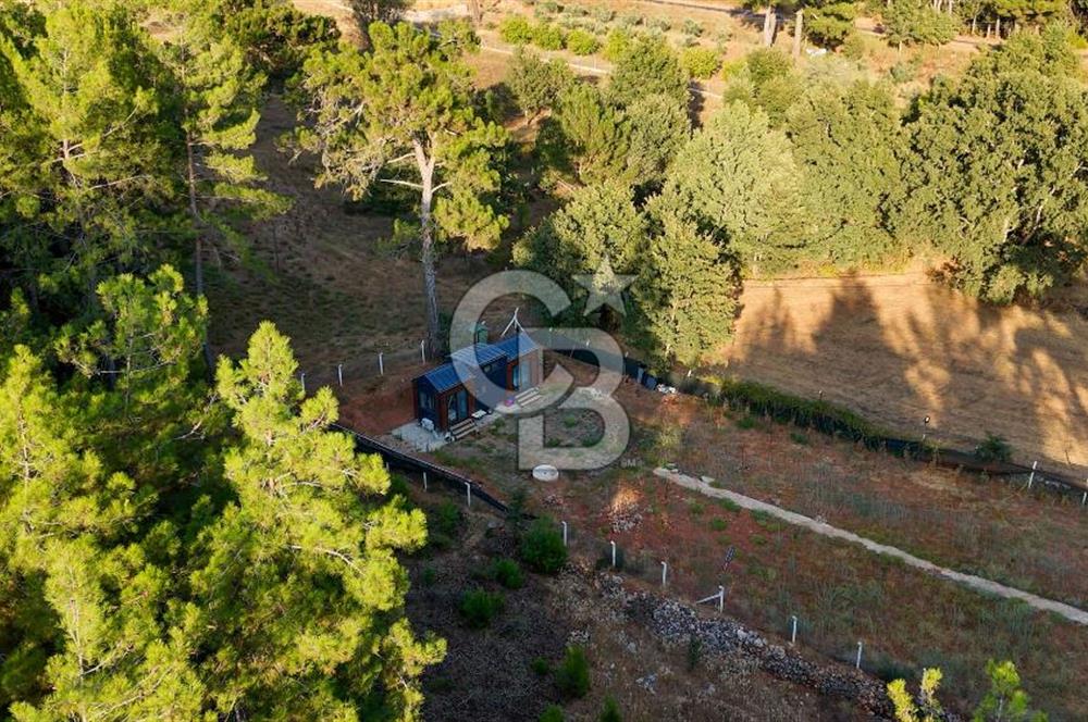 CB MARİNA'DAN DOĞA İLE İÇ İÇE 1.214M2 TARLA VE 2+1 TİNY HOUSE