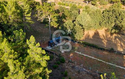 CB MARİNA'DAN DOĞA İLE İÇ İÇE 1.214M2 TARLA VE 2+1 TİNY HOUSE
