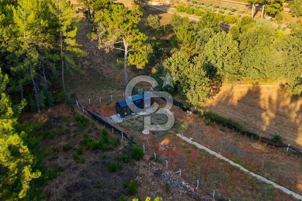 CB MARİNA'DAN DOĞA İLE İÇ İÇE 1.214M2 TARLA VE 2+1 TİNY HOUSE