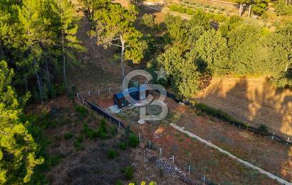 CB MARİNA'DAN DOĞA İLE İÇ İÇE 1.214M2 TARLA VE 2+1 TİNY HOUSE