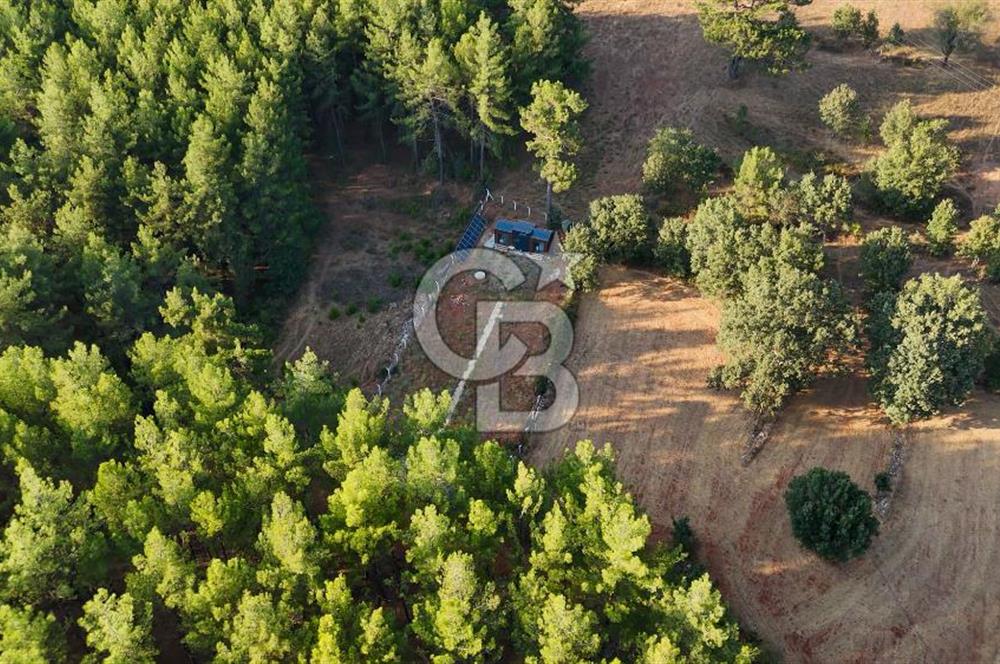CB MARİNA'DAN DOĞA İLE İÇ İÇE 1.214M2 TARLA VE 2+1 TİNY HOUSE