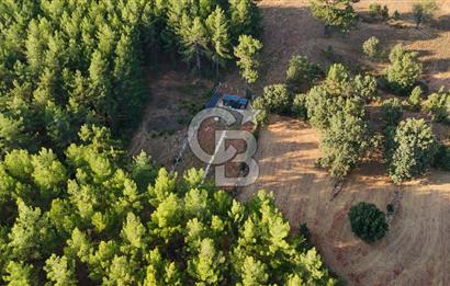 CB MARİNA'DAN DOĞA İLE İÇ İÇE 1.214M2 TARLA VE 2+1 TİNY HOUSE