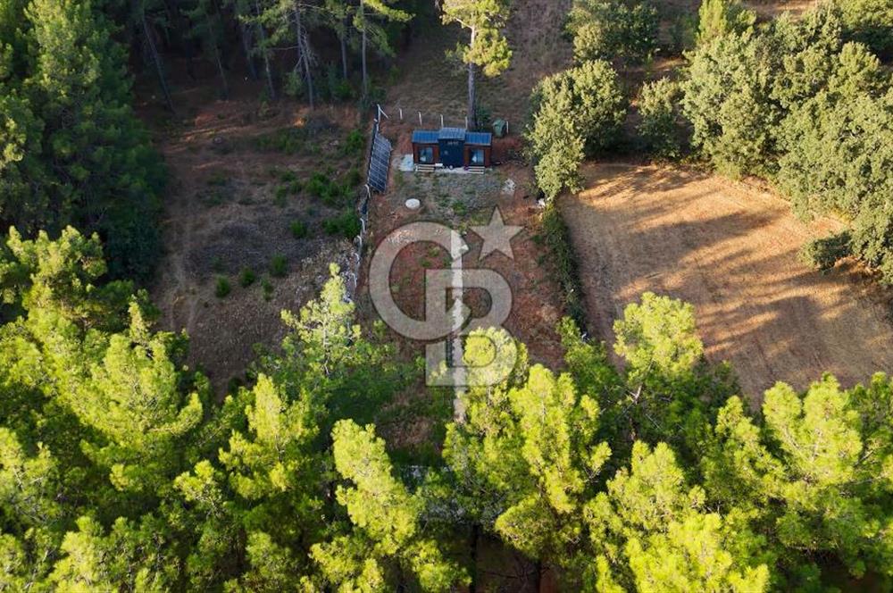 CB MARİNA'DAN DOĞA İLE İÇ İÇE 1.214M2 TARLA VE 2+1 TİNY HOUSE