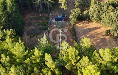 CB MARİNA'DAN DOĞA İLE İÇ İÇE 1.214M2 TARLA VE 2+1 TİNY HOUSE