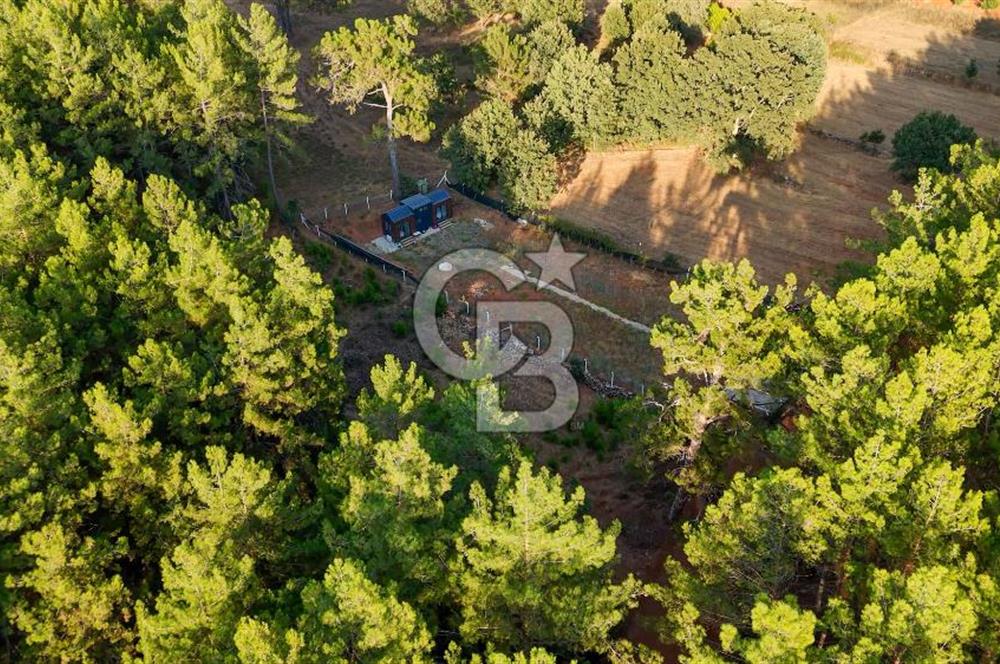CB MARİNA'DAN DOĞA İLE İÇ İÇE 1.214M2 TARLA VE 2+1 TİNY HOUSE