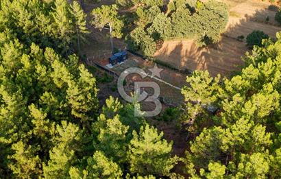 CB MARİNA'DAN DOĞA İLE İÇ İÇE 1.214M2 TARLA VE 2+1 TİNY HOUSE