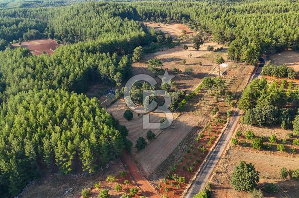 CB MARİNA'DAN DOĞA İLE İÇ İÇE 1.214M2 TARLA VE 2+1 TİNY HOUSE
