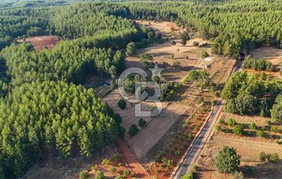 CB MARİNA'DAN DOĞA İLE İÇ İÇE 1.214M2 TARLA VE 2+1 TİNY HOUSE