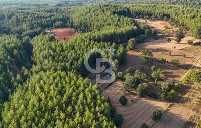 CB MARİNA'DAN DOĞA İLE İÇ İÇE 1.214M2 TARLA VE 2+1 TİNY HOUSE