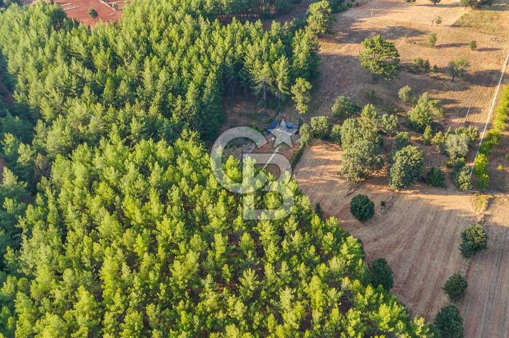 CB MARİNA'DAN DOĞA İLE İÇ İÇE 1.214M2 TARLA VE 2+1 TİNY HOUSE