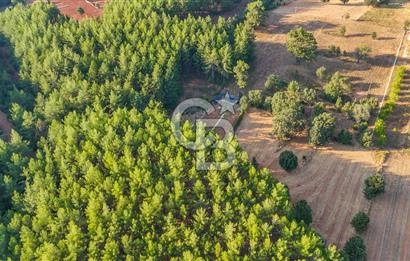 CB MARİNA'DAN DOĞA İLE İÇ İÇE 1.214M2 TARLA VE 2+1 TİNY HOUSE