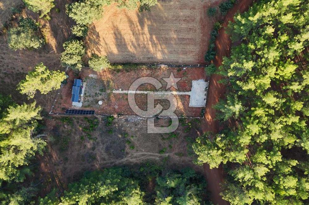 CB MARİNA'DAN DOĞA İLE İÇ İÇE 1.214M2 TARLA VE 2+1 TİNY HOUSE