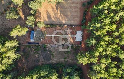 CB MARİNA'DAN DOĞA İLE İÇ İÇE 1.214M2 TARLA VE 2+1 TİNY HOUSE