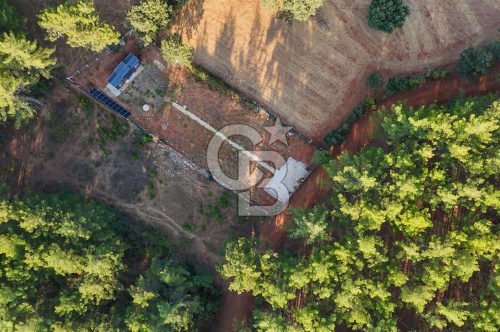 CB MARİNA'DAN DOĞA İLE İÇ İÇE 1.214M2 TARLA VE 2+1 TİNY HOUSE