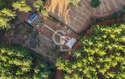 CB MARİNA'DAN DOĞA İLE İÇ İÇE 1.214M2 TARLA VE 2+1 TİNY HOUSE