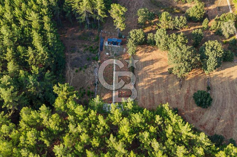 CB MARİNA'DAN DOĞA İLE İÇ İÇE 1.214M2 TARLA VE 2+1 TİNY HOUSE
