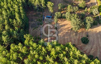 CB MARİNA'DAN DOĞA İLE İÇ İÇE 1.214M2 TARLA VE 2+1 TİNY HOUSE