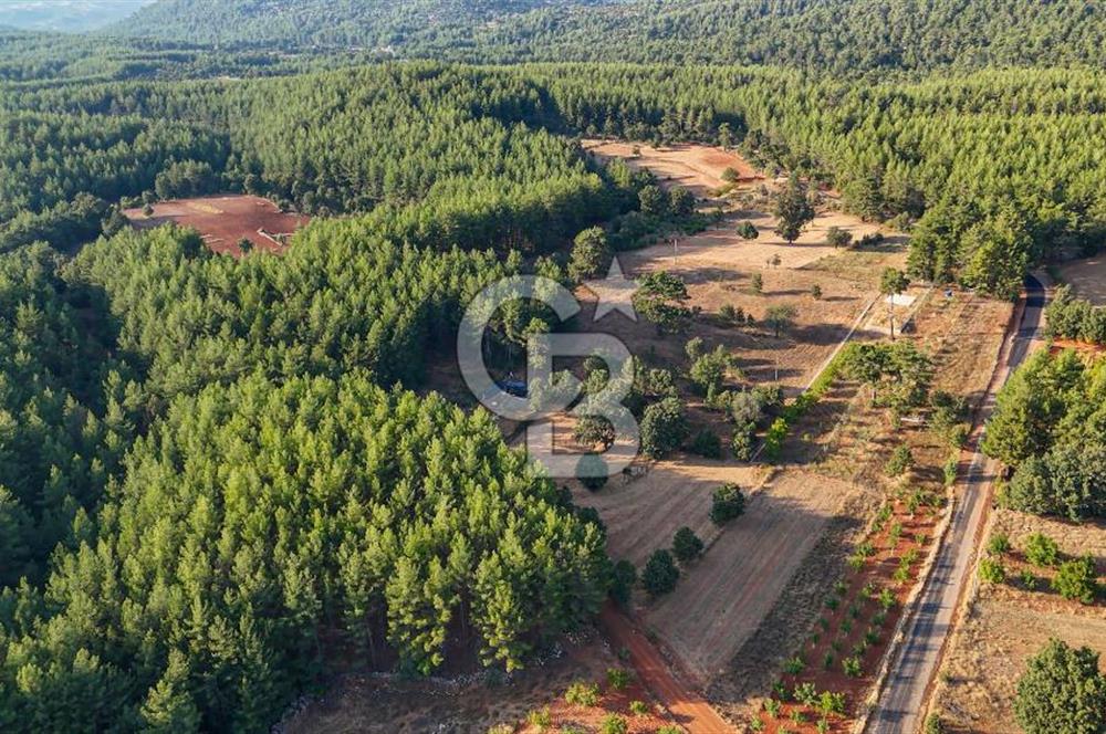 CB MARİNA'DAN DOĞA İLE İÇ İÇE 1.214M2 TARLA VE 2+1 TİNY HOUSE