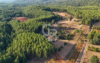 CB MARİNA'DAN DOĞA İLE İÇ İÇE 1.214M2 TARLA VE 2+1 TİNY HOUSE