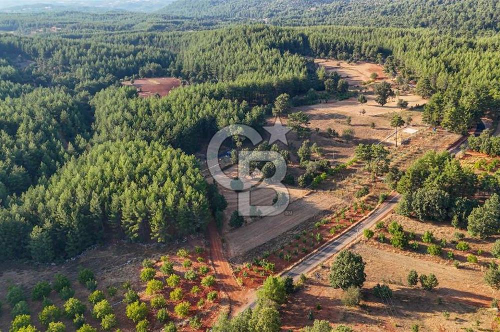 CB MARİNA'DAN DOĞA İLE İÇ İÇE 1.214M2 TARLA VE 2+1 TİNY HOUSE