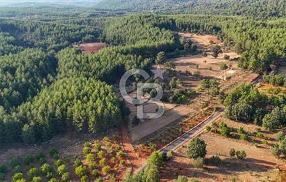 CB MARİNA'DAN DOĞA İLE İÇ İÇE 1.214M2 TARLA VE 2+1 TİNY HOUSE