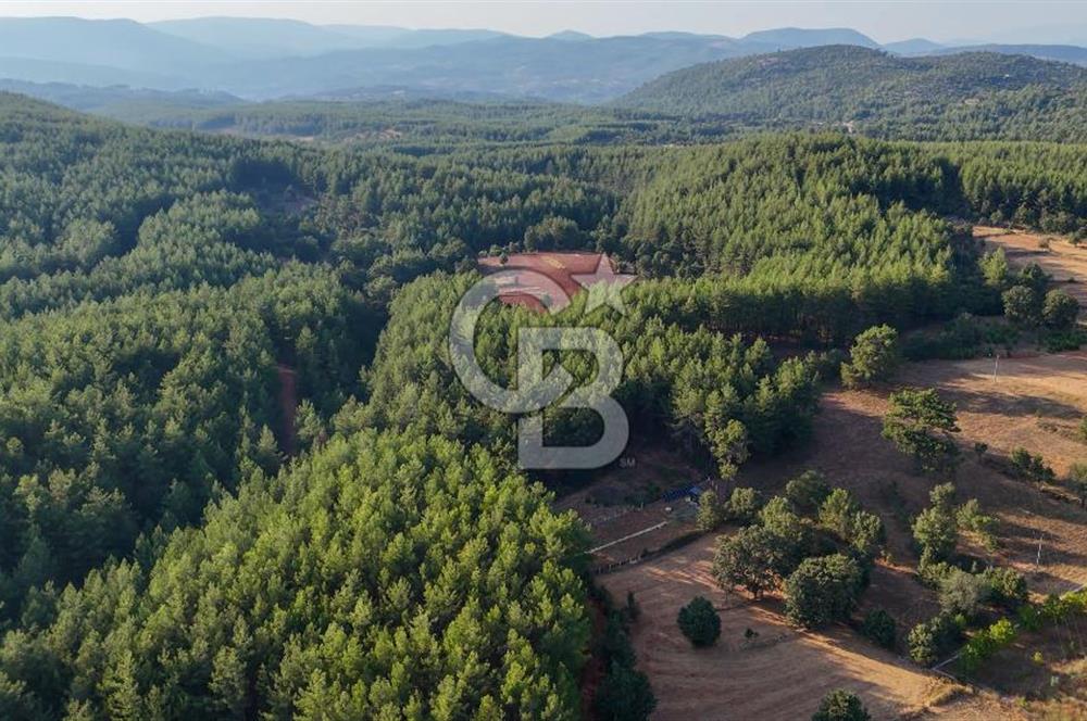 CB MARİNA'DAN DOĞA İLE İÇ İÇE 1.214M2 TARLA VE 2+1 TİNY HOUSE
