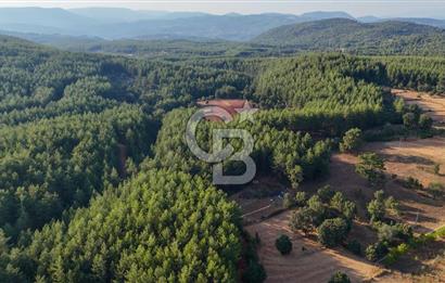 CB MARİNA'DAN DOĞA İLE İÇ İÇE 1.214M2 TARLA VE 2+1 TİNY HOUSE