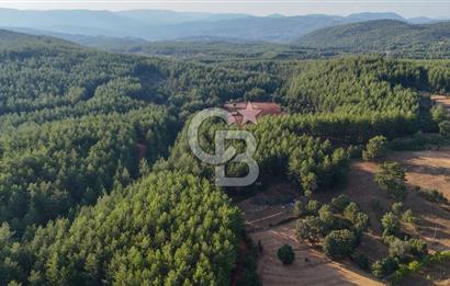 CB MARİNA'DAN DOĞA İLE İÇ İÇE 1.214M2 TARLA VE 2+1 TİNY HOUSE