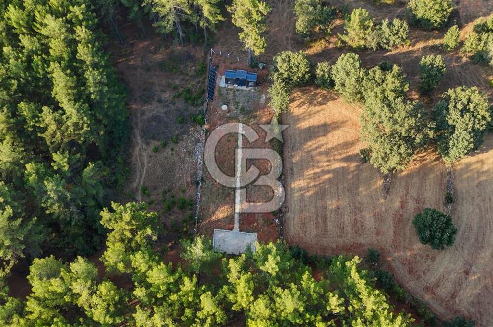 CB MARİNA'DAN DOĞA İLE İÇ İÇE 1.214M2 TARLA VE 2+1 TİNY HOUSE