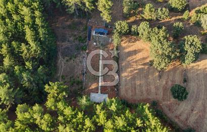 CB MARİNA'DAN DOĞA İLE İÇ İÇE 1.214M2 TARLA VE 2+1 TİNY HOUSE