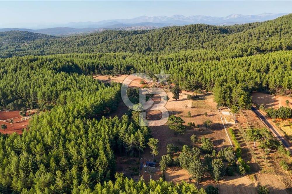CB MARİNA'DAN DOĞA İLE İÇ İÇE 1.214M2 TARLA VE 2+1 TİNY HOUSE
