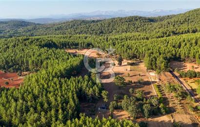CB MARİNA'DAN DOĞA İLE İÇ İÇE 1.214M2 TARLA VE 2+1 TİNY HOUSE