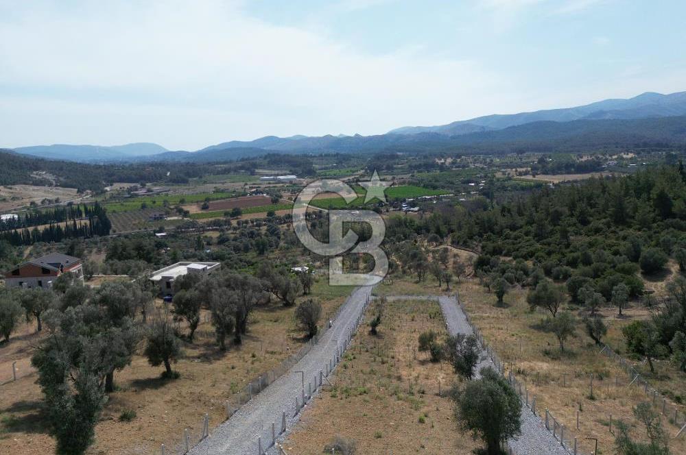 MENDERES`TE HİSSE TAPULU YATIRIMLIK TARLA