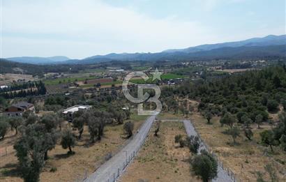 MENDERES`TE HİSSE TAPULU YATIRIMLIK TARLA