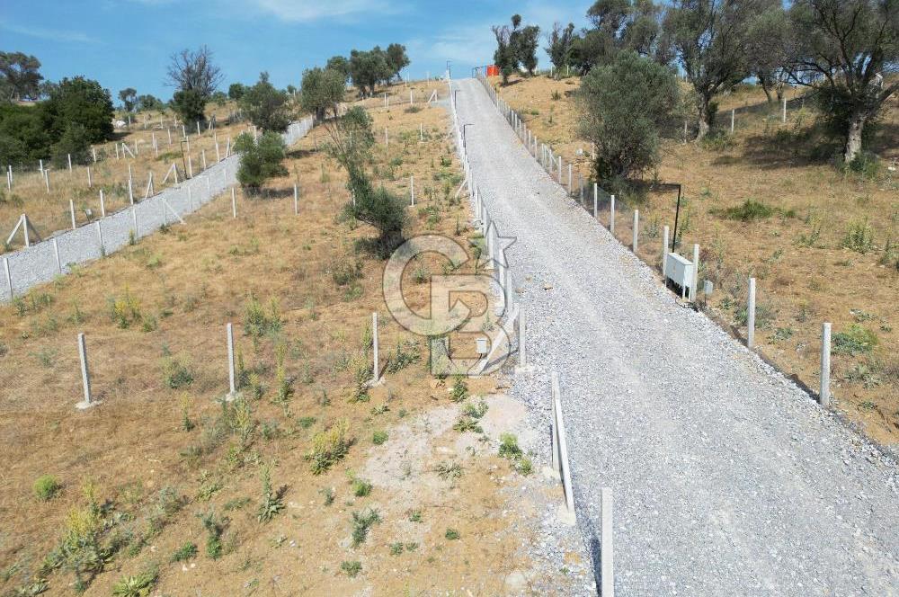 MENDERES`TE HİSSE TAPULU YATIRIMLIK TARLA