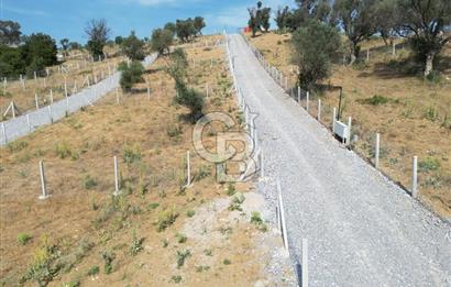 MENDERES`TE HİSSE TAPULU YATIRIMLIK TARLA