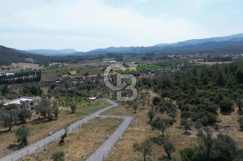 MENDERES`TE HİSSE TAPULU YATIRIMLIK TARLA