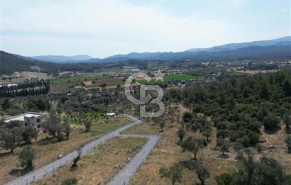 MENDERES`TE HİSSE TAPULU YATIRIMLIK TARLA