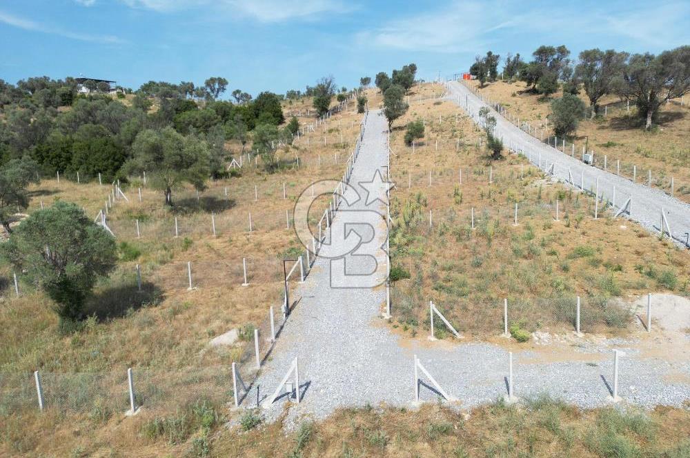 MENDERES`TE HİSSE TAPULU YATIRIMLIK TARLA