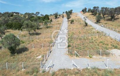 MENDERES`TE HİSSE TAPULU YATIRIMLIK TARLA