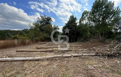 KAVAK-ASARCIK YOLUNUN ALT TARAFINDA SATILIK FIRSAT TARLA!!
