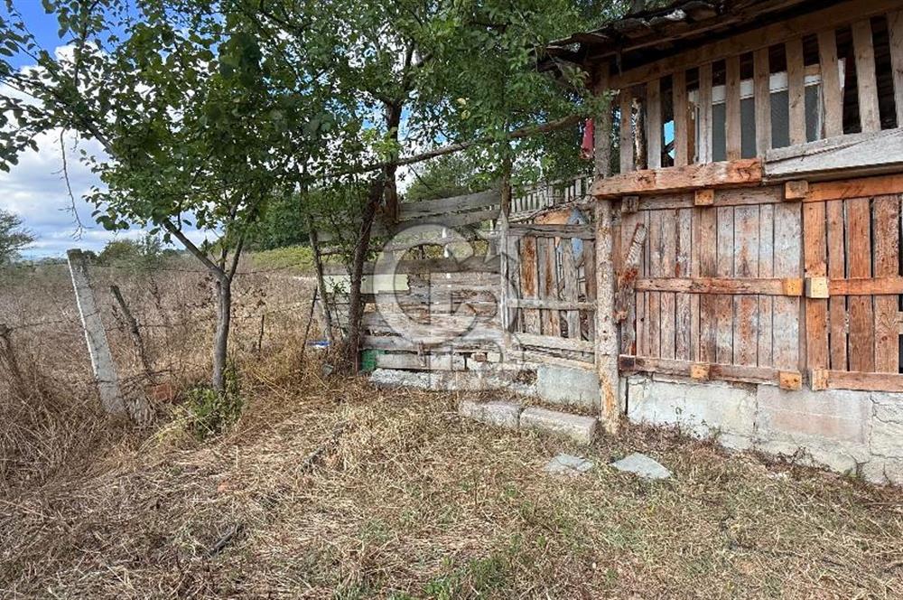 KAVAK-ASARCIK YOLUNUN ALT TARAFINDA SATILIK FIRSAT TARLA!!