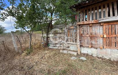 KAVAK-ASARCIK YOLUNUN ALT TARAFINDA SATILIK FIRSAT TARLA!!