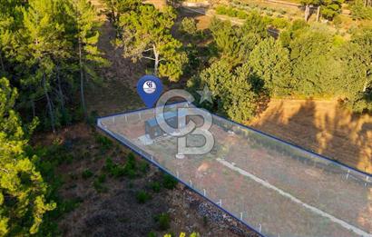 CB MARİNA'DAN DOĞA İLE İÇ İÇE 1.214M2 TARLA VE 2+1 TİNY HOUSE