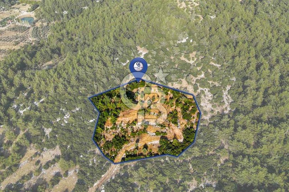 MENTEŞE KUYUCAK'DA SATILIK 5.932 M2 TARLA