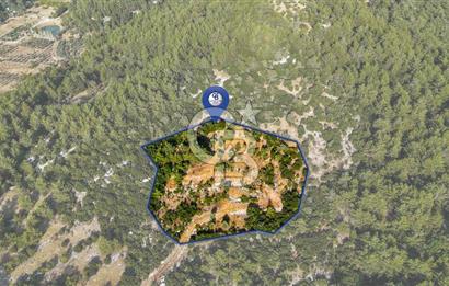 MENTEŞE KUYUCAK'DA SATILIK 5.932 M2 TARLA